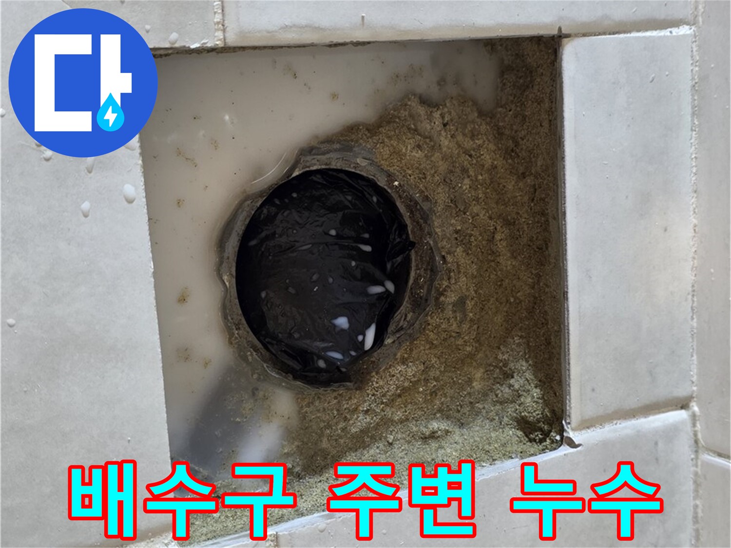 과천 문원동 욕실 배수구 주변 누수 - 젖은 타일 틈새, 전문 장비와 기술로 완벽 해결