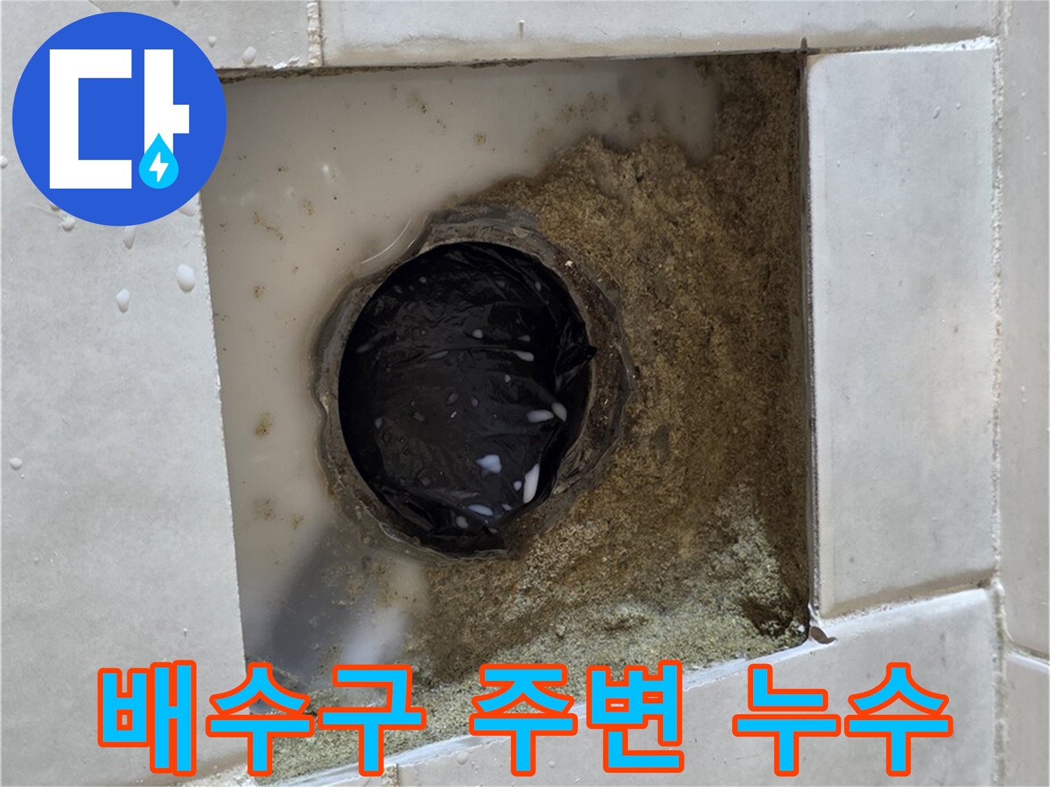 과천 문원동 욕실 배수구 주변 누수 - 젖은 타일 틈새, 전문 장비와 기술로 완벽 해결