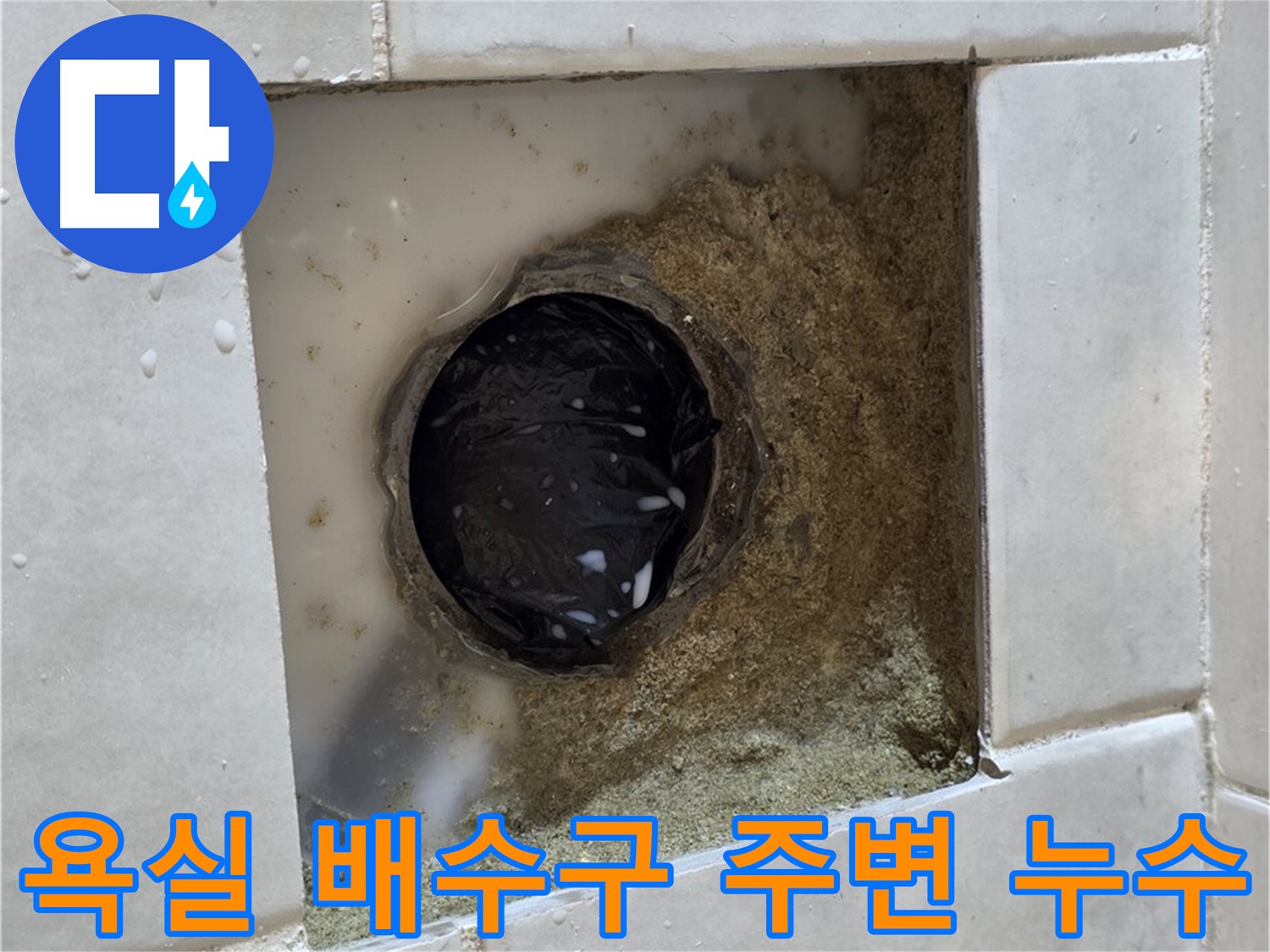과천 문원동 욕실 배수구 주변 누수 - 타일 틈새로 스며드는 물, 꼼꼼한 누수 탐지와 확실한 보수