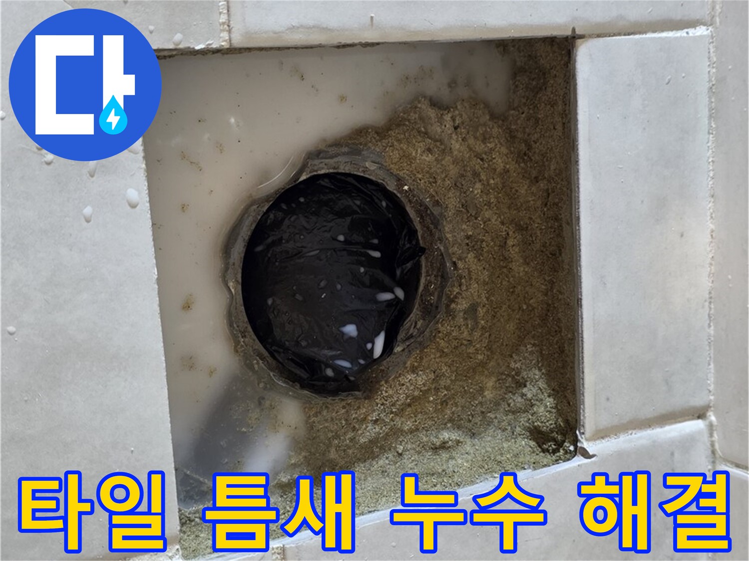 과천 문원동 욕실 배수구 주변 타일 틈새 누수 - 젖어있는 타일 틈새, 정확한 원인 분석과 확실한 해결