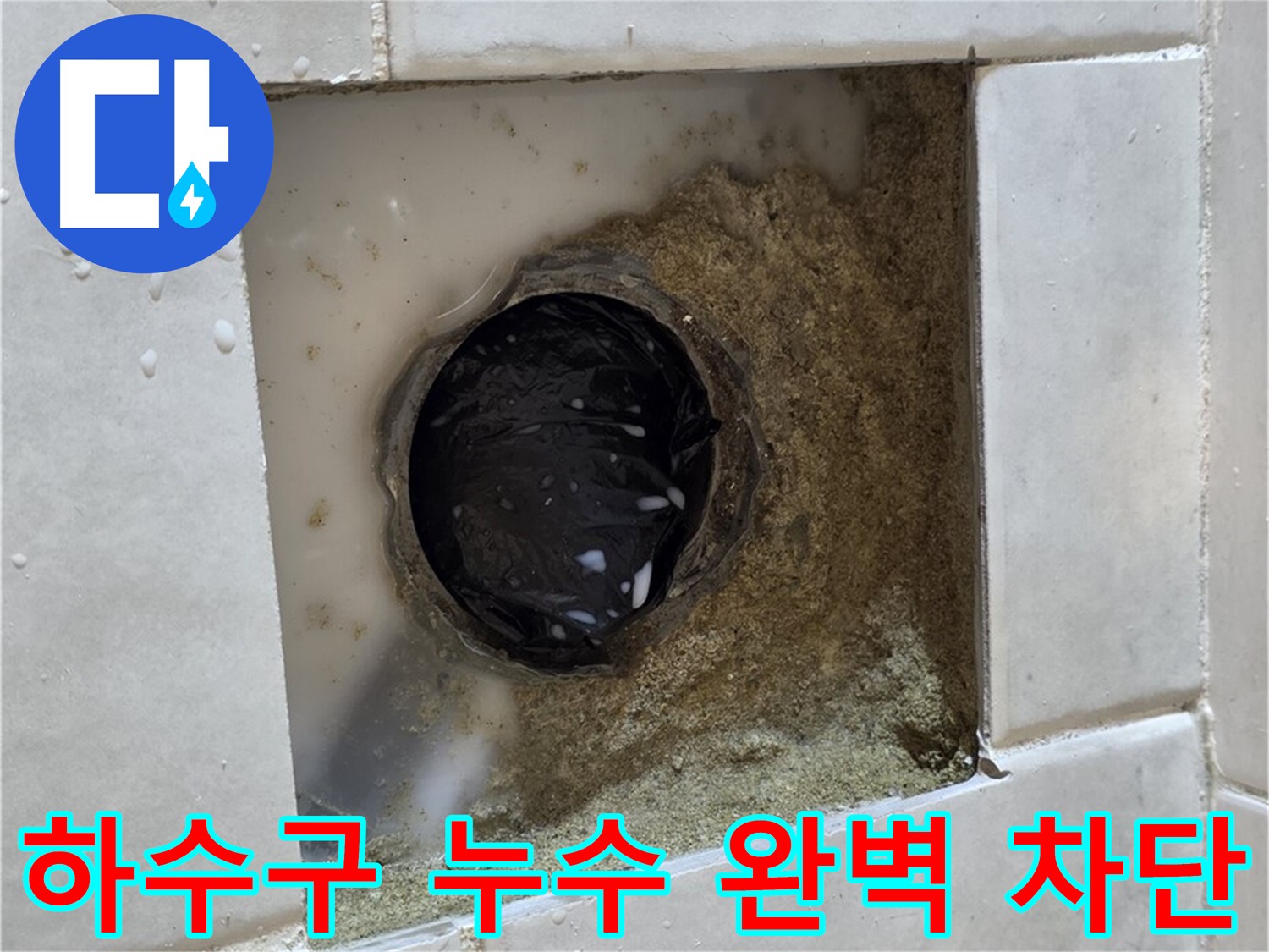 과천 문원동 욕실 하수구 누수 - 젖어있는 하수구 주변, 완벽한 차단으로 속 시원하게 해결