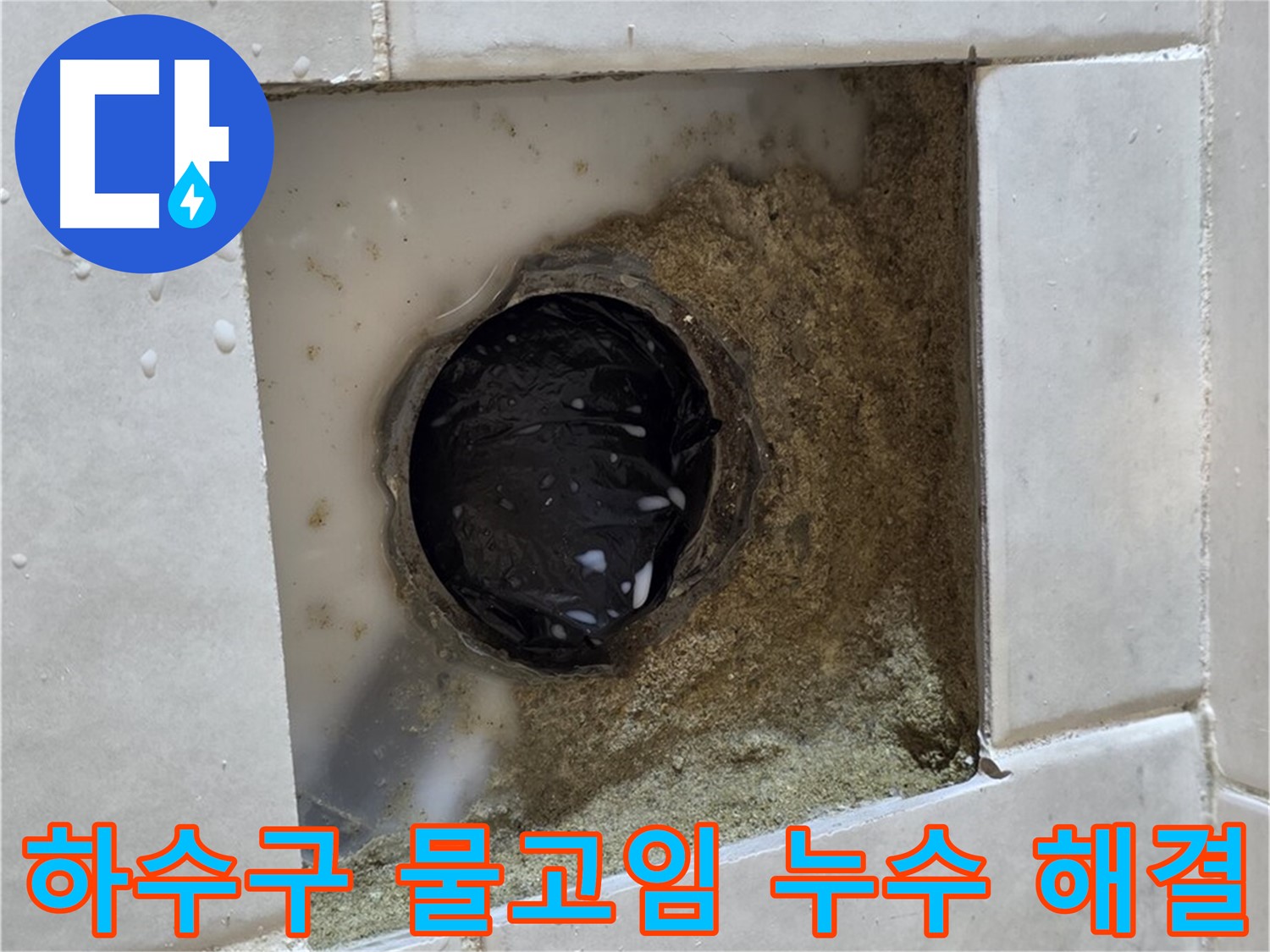 과천 문원동 욕실 하수구 주변 물고임 누수 - 물이 고여있는 하수구, 완벽한 배수 개선으로 해결