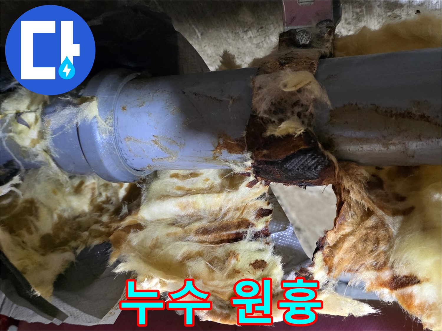 남양주 화도읍 두산아파트 누수 - 낡은 배관에서 누수가 발생하여 곰팡이와 단열재 젖음의 원인이 되고 있습니다.