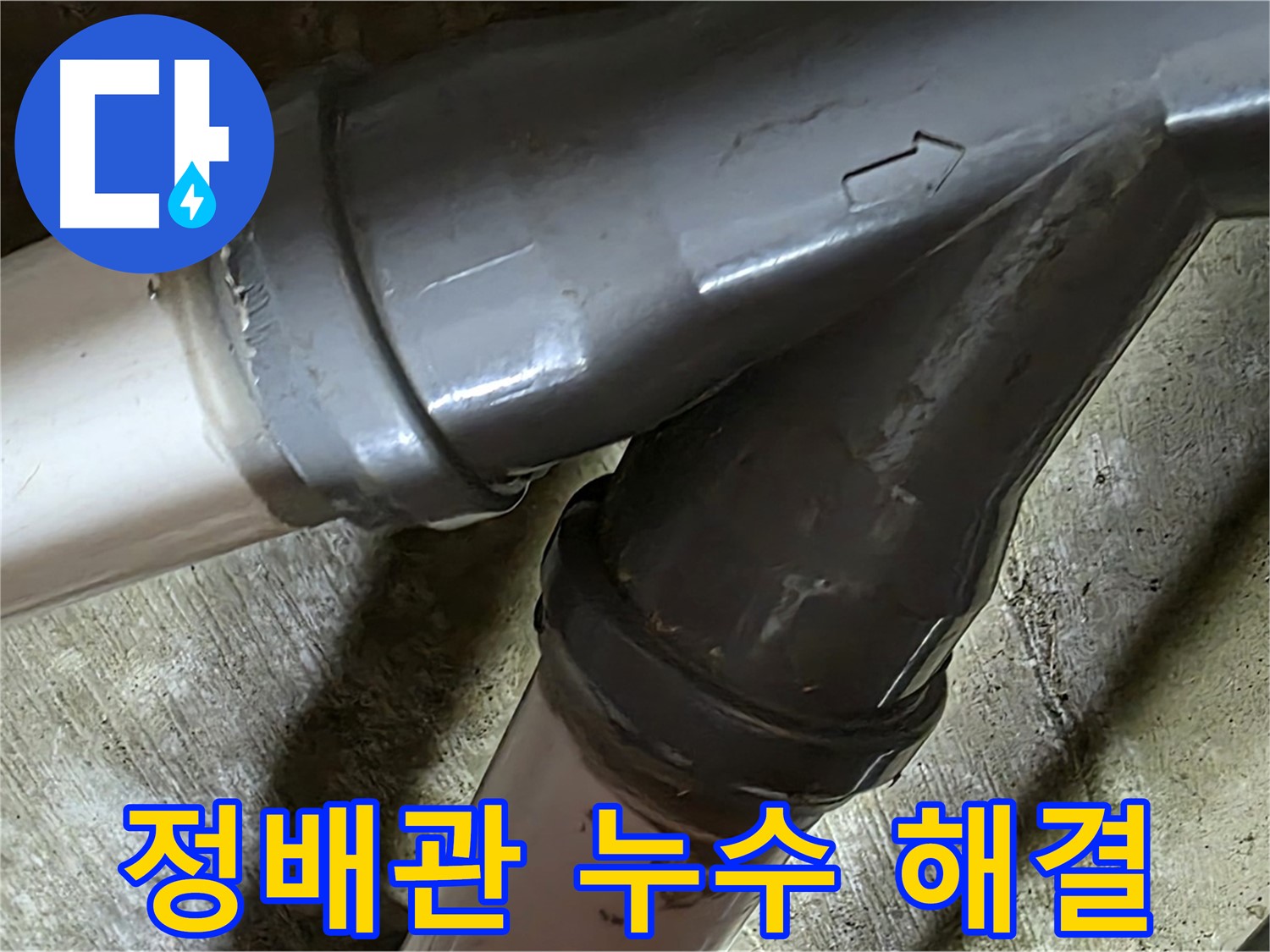 남양주 화도읍 창현리 두산아파트 정배관 누수 - 누수탐지부터 완벽한 보수까지 책임지는 믿음직한 누수 해결 전문 업체입니다.