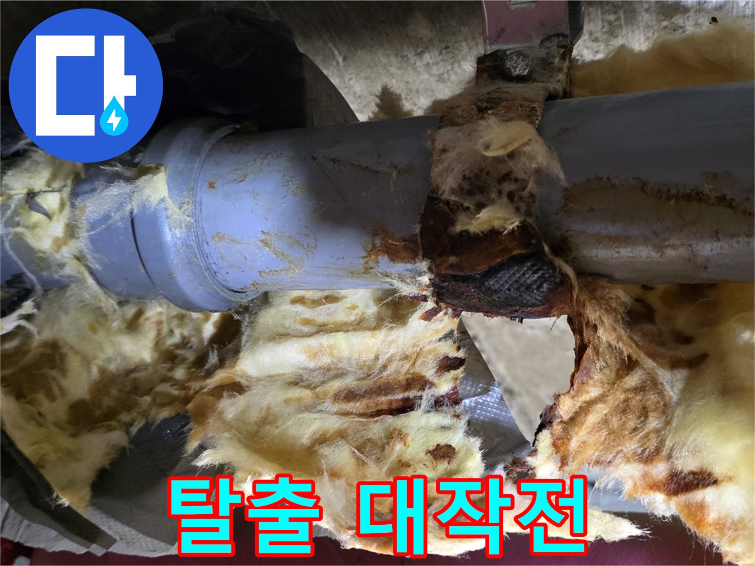 두산아파트 누수 - 낡은 배관, 곰팡이, 젖은 단열재 3가지 문제를 해결하고 쾌적한 환경으로 탈출했습니다.