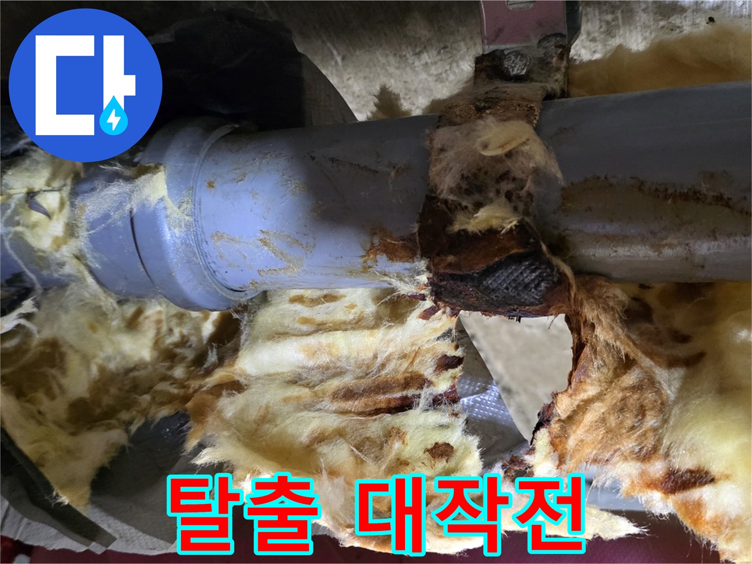 두산아파트 누수 - 낡은 배관, 곰팡이, 젖은 단열재 3가지 문제를 해결하고 쾌적한 환경으로 탈출했습니다.