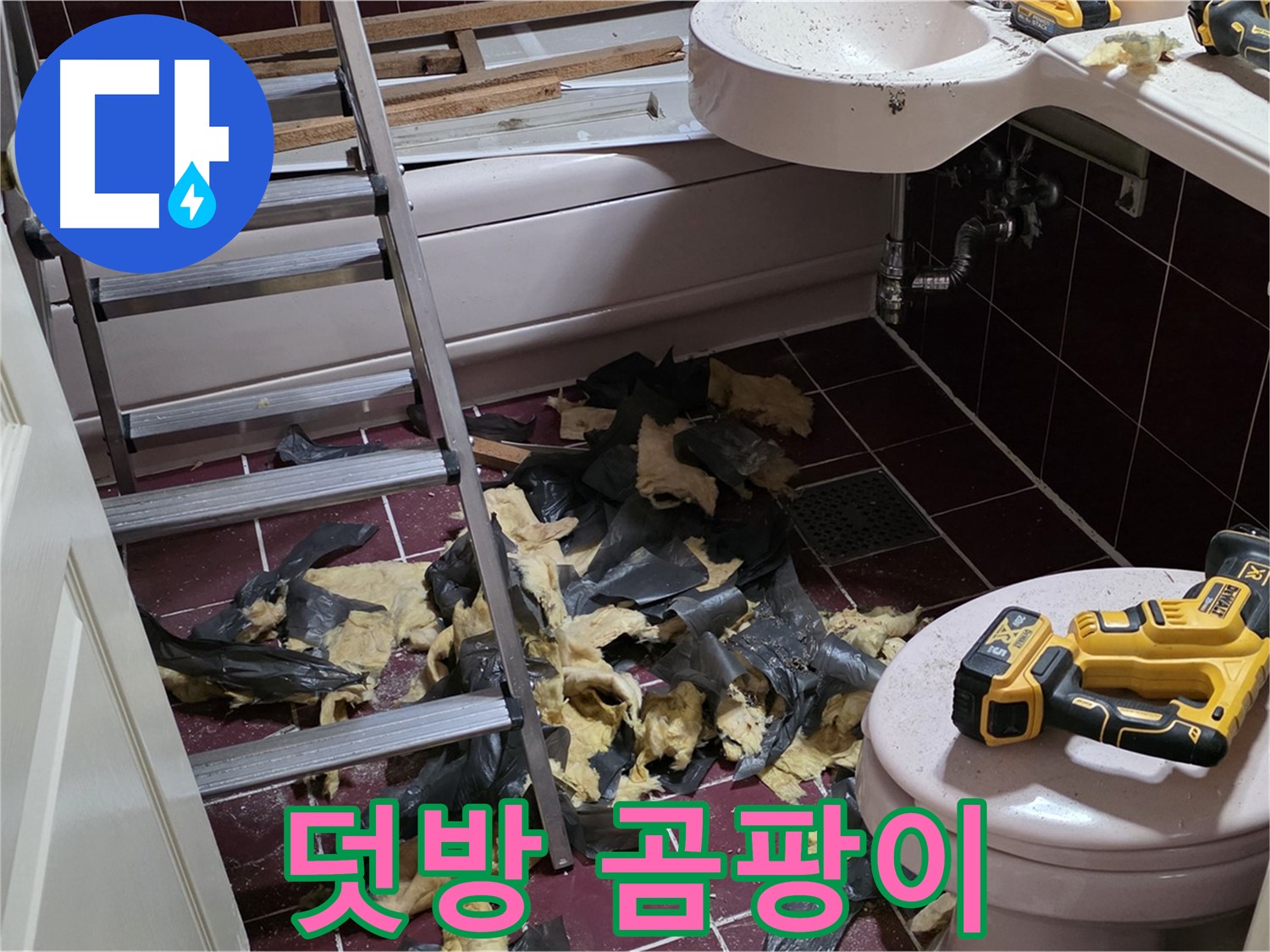 두산아파트 욕실 덧방 시공의 최후 - 철거 후 드러난 충격적인 곰팡이 세상!