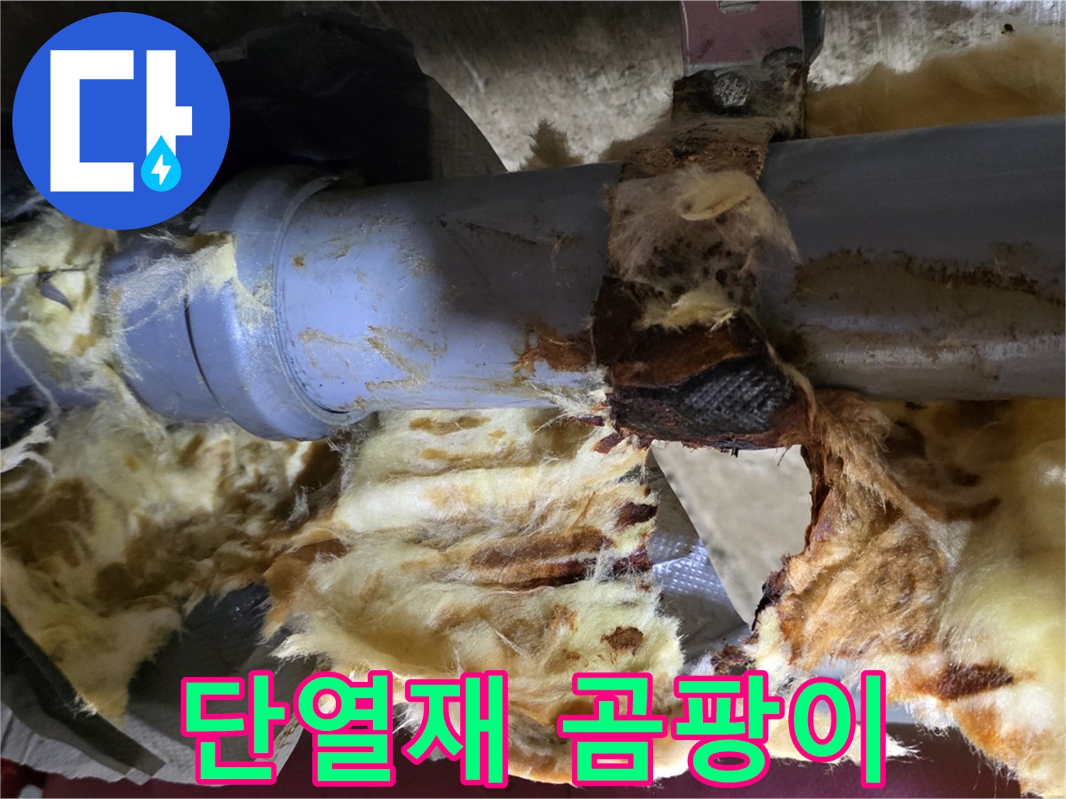 창현리 누수 - 젖은 단열재에 곰팡이가 슬어 있는 모습입니다.