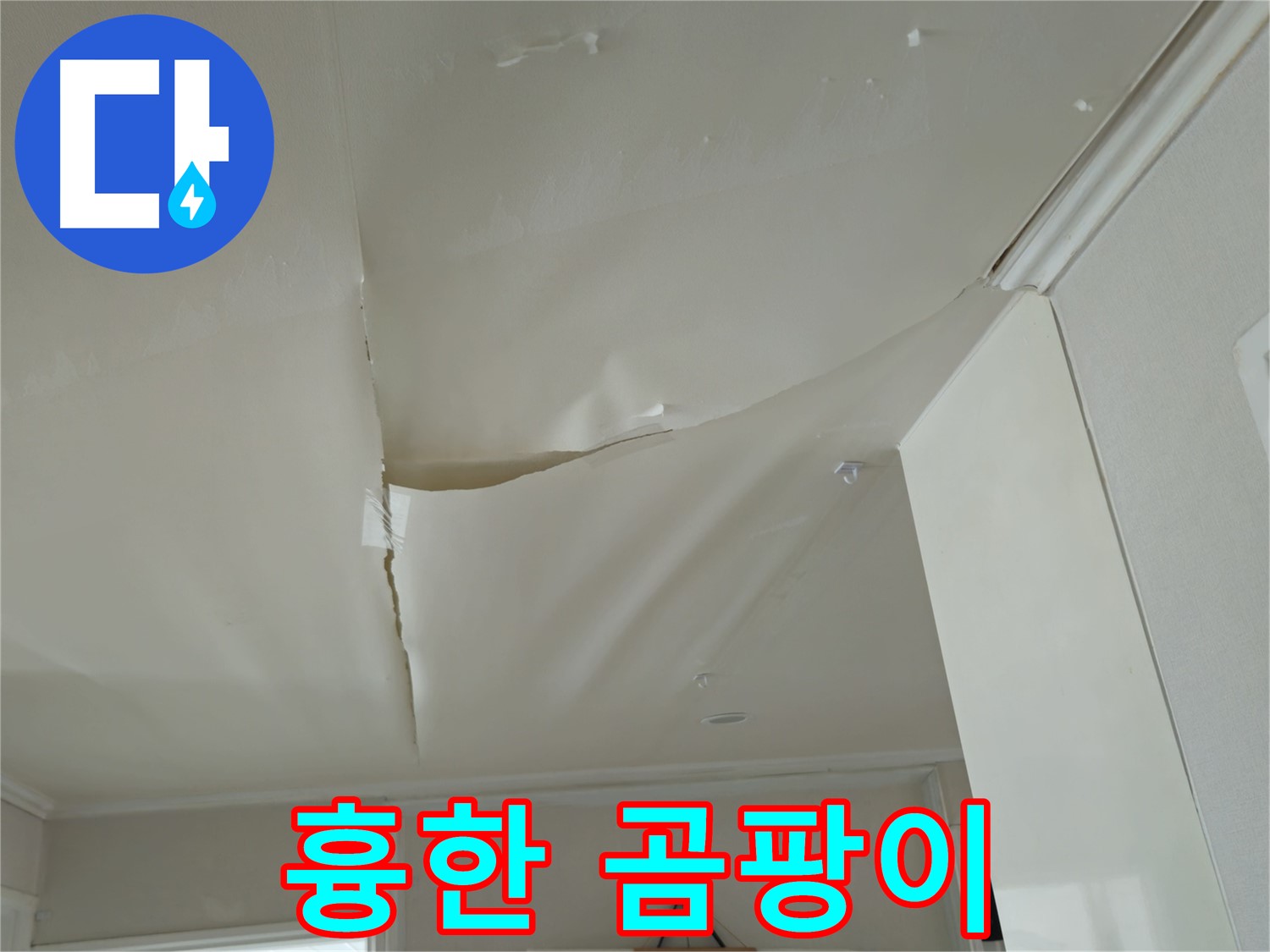 창현리 두산아파트 천장 누수 - 흉한 곰팡이, 집 이미지 망친다!