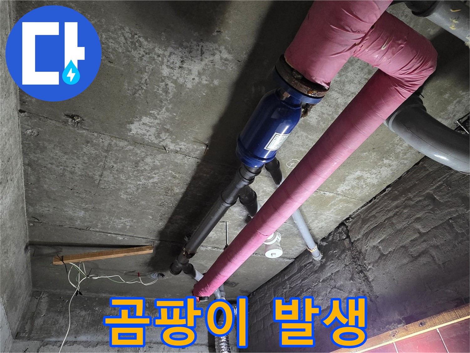 화도읍 두산아파트 누수 - 누수로 인해 발생한 곰팡이와 곰팡이 제거 작업 모습