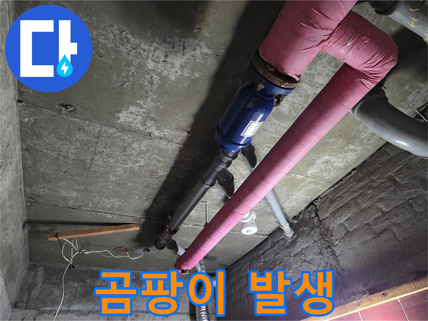 화도읍 두산아파트 누수 - 누수로 인해 발생한 곰팡이와 곰팡이 제거 작업 모습