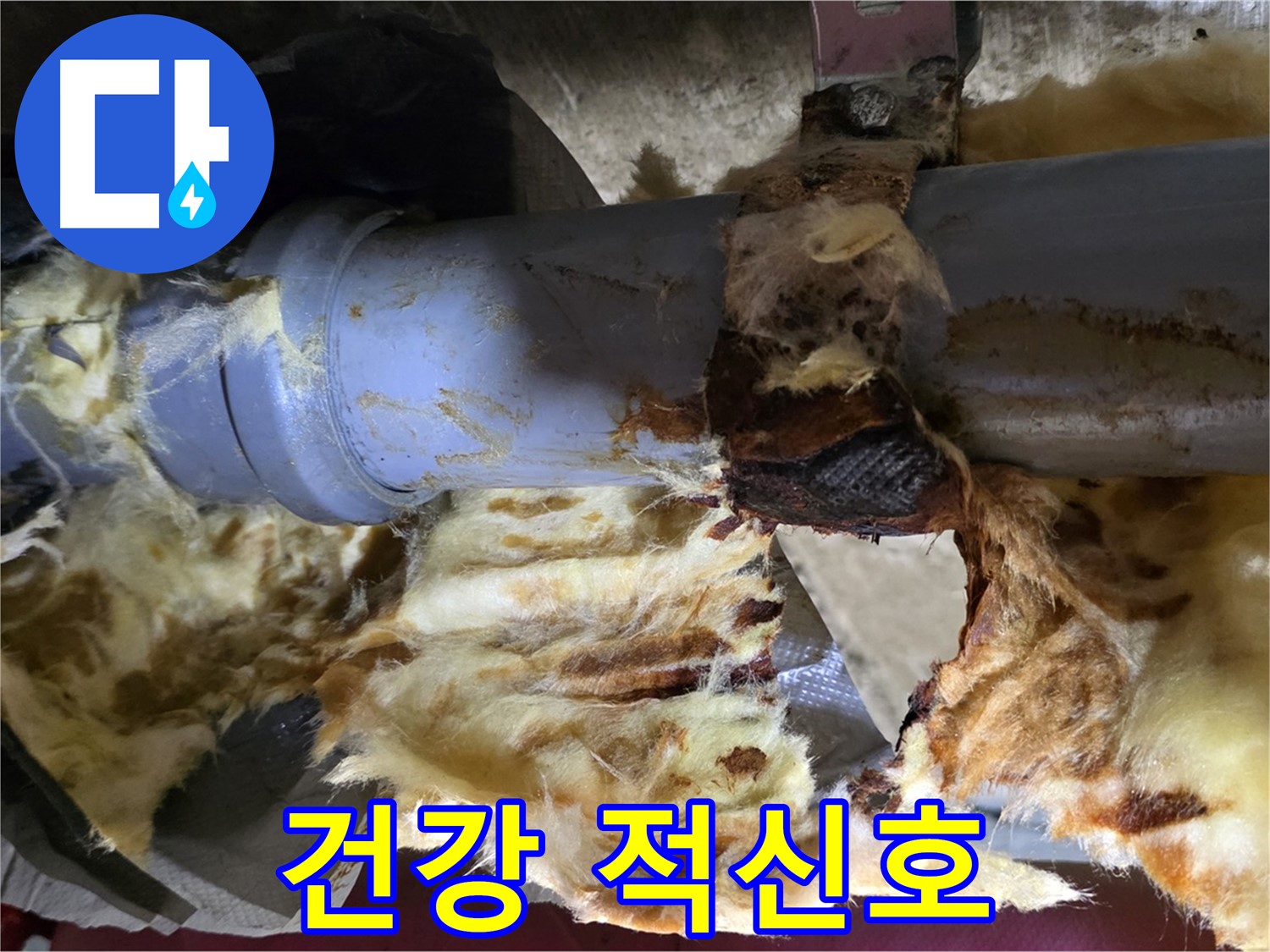 화도읍 두산아파트 누수 - 배관 연결 부위에서 누수가 발생하여 곰팡이가 피어 건강을 위협하고 있습니다.