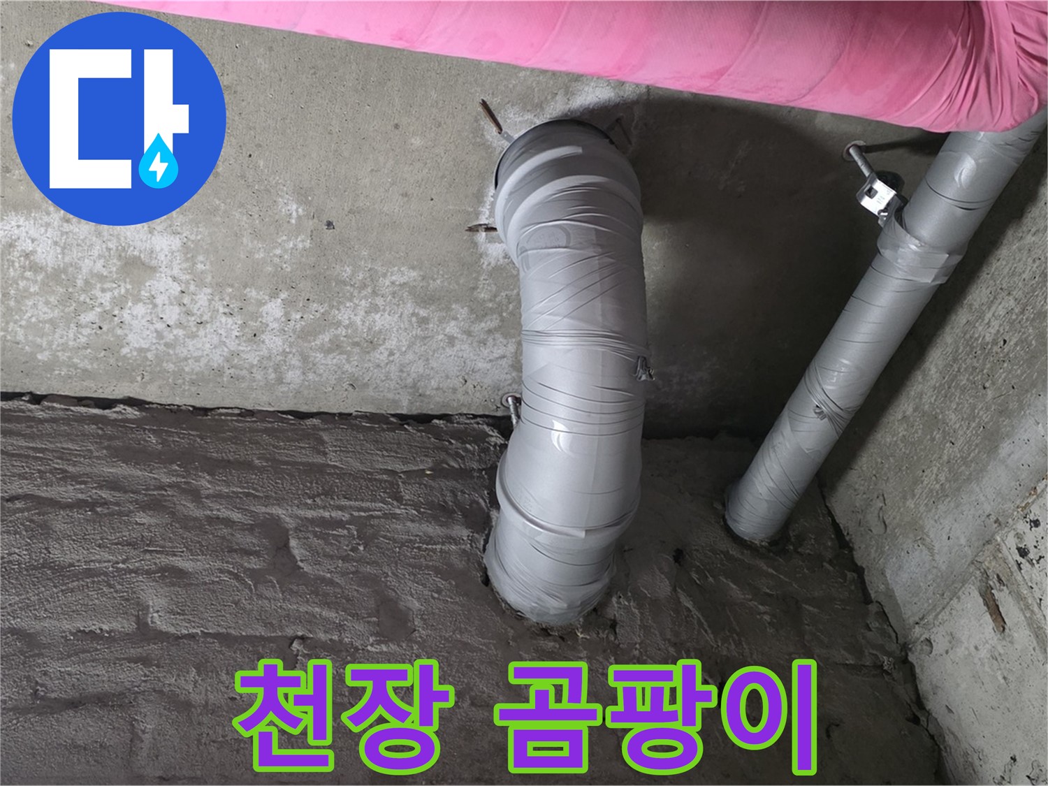화도읍 아파트 천장 배관 주변 벽면 및 천장 곰팡이 확인 사진