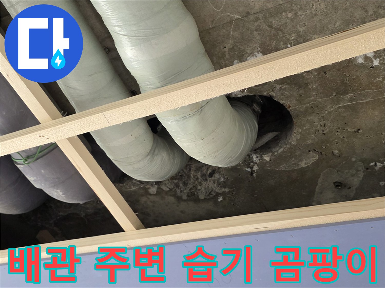서초구 방배2동 판테옹빌라 천장 배관 주변 - 습기와 곰팡이 냄새의 원인을 찾고 있습니다.
