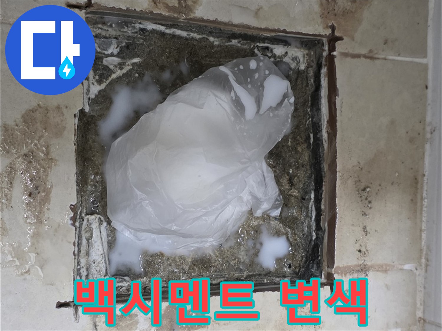 고양시 덕양구 욕실 바닥 누수 - 배수구 주변 백시멘트 변색 확인