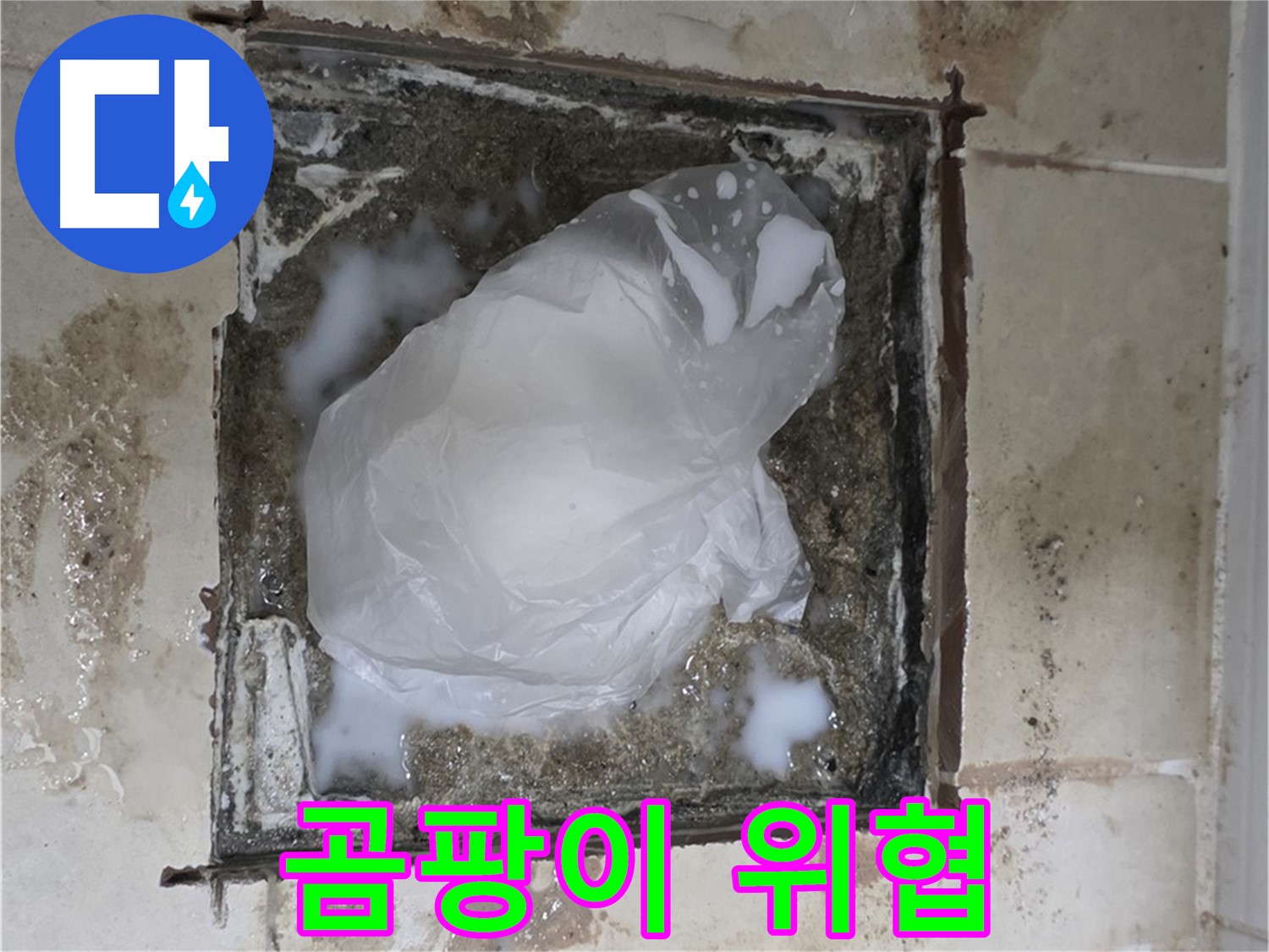 동산동 욕실 배수구 누수 - 곰팡이 가득한 배수구, 건강까지 위협
