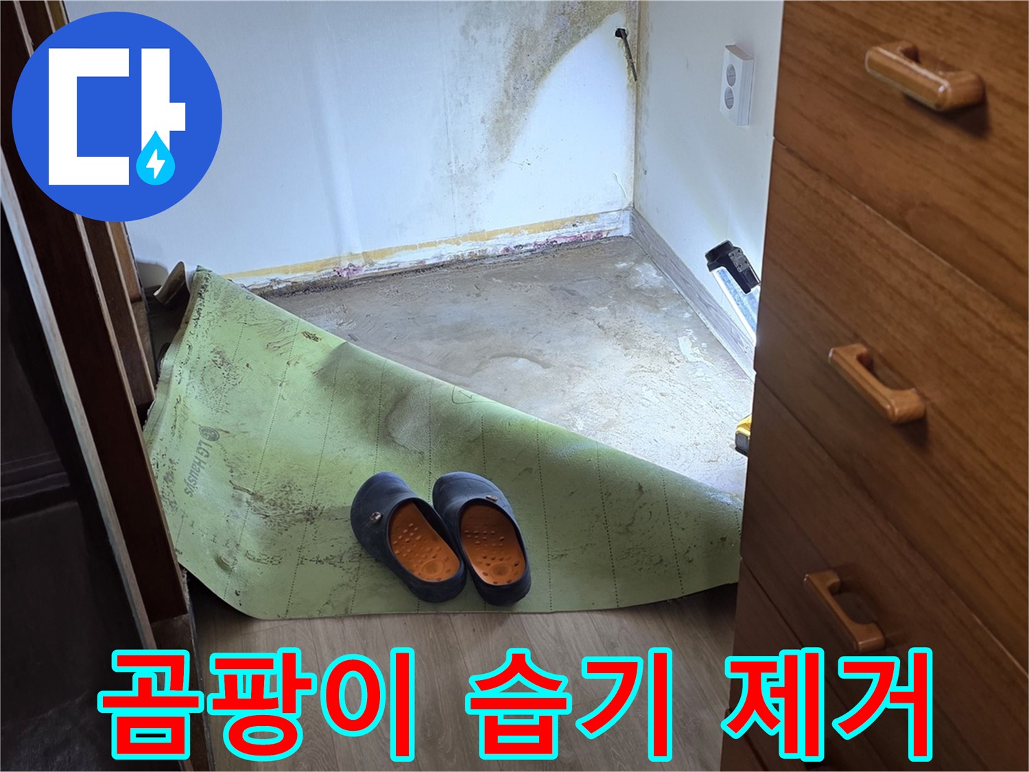 곰팡이 제거 및 습기 완벽 차단 - 건강한 공간