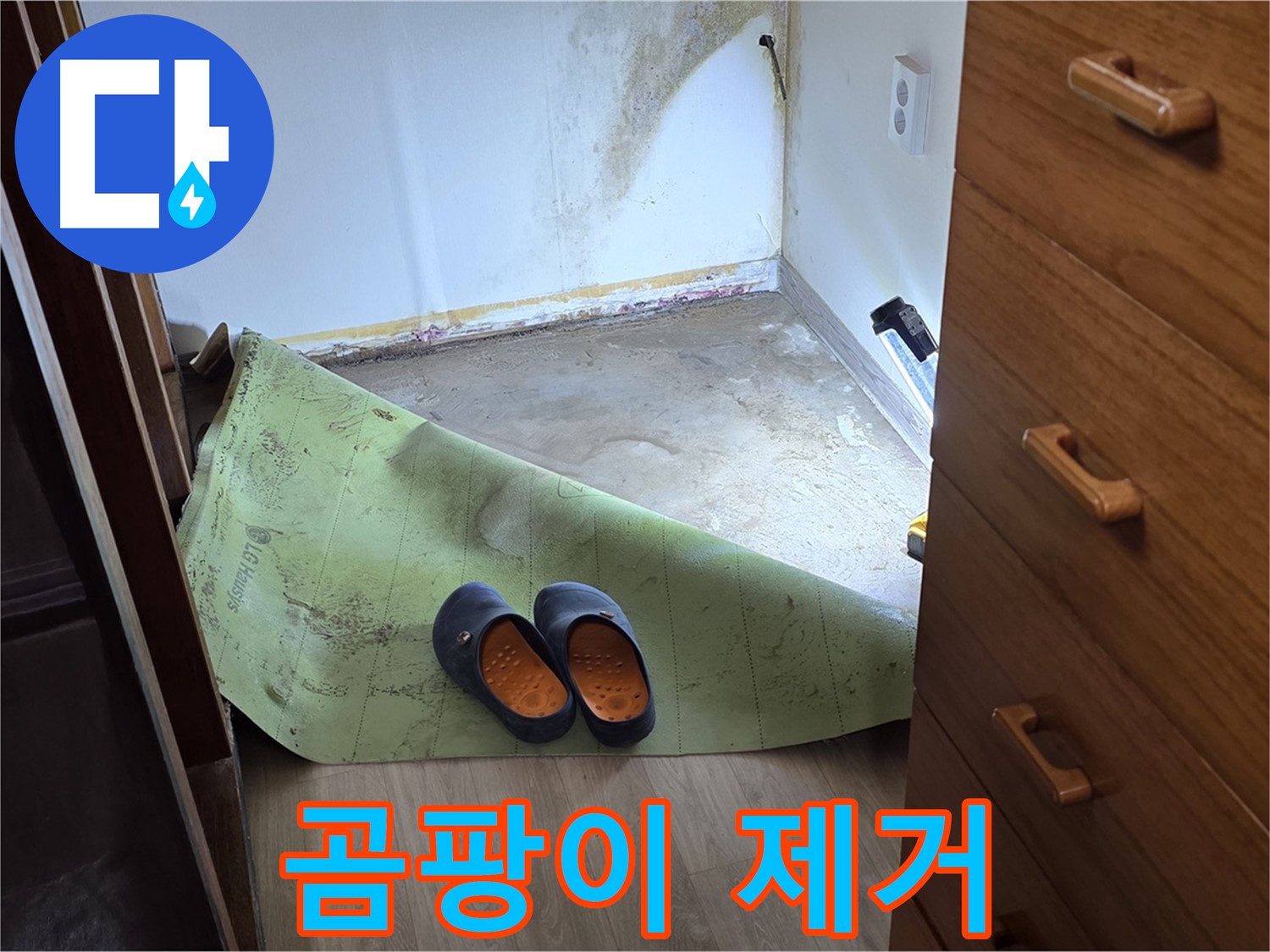 옥인동 주택 - 장판 밑 곰팡이 제거 - 완벽 해결