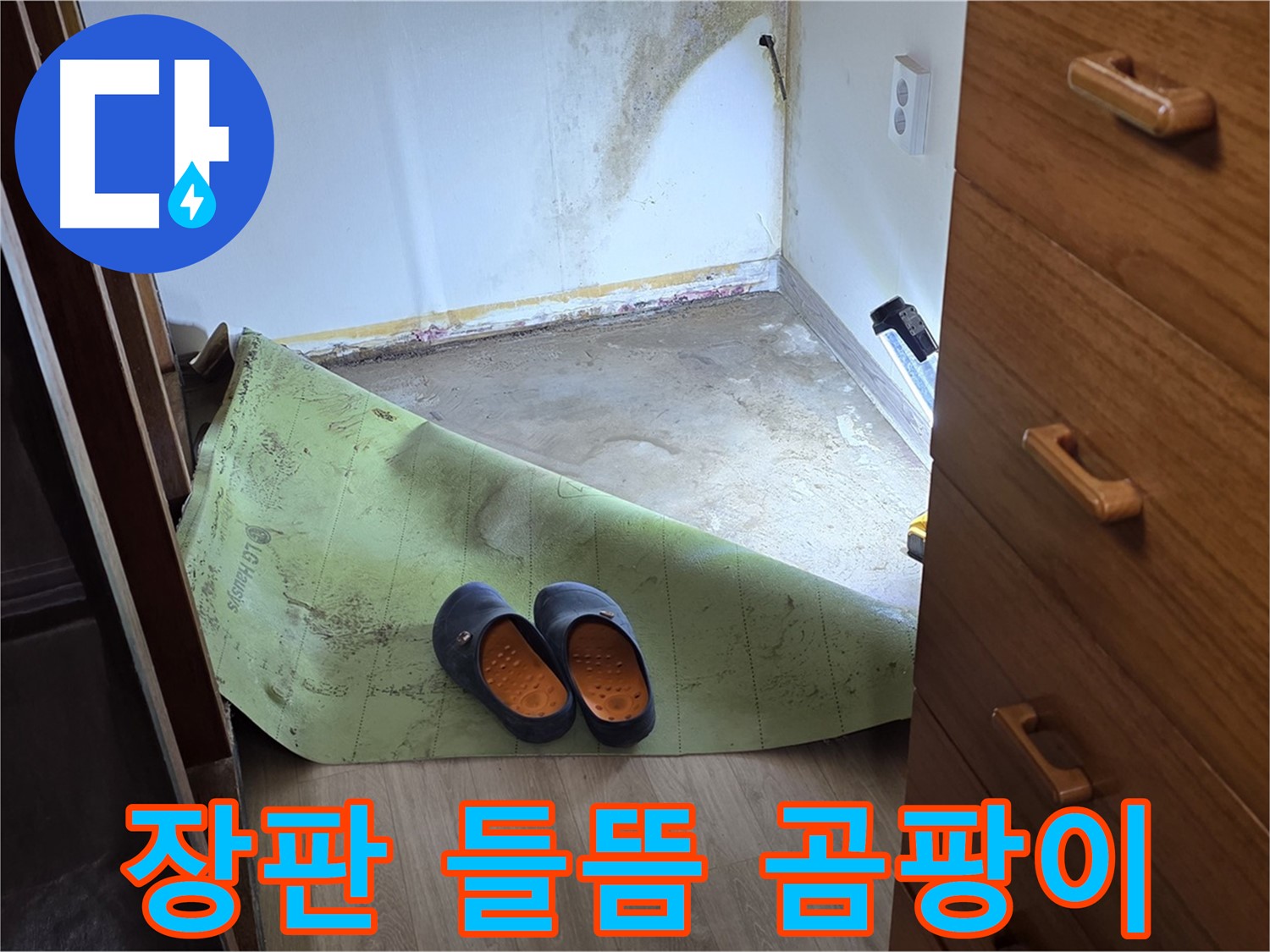 장판 들뜸과 곰팡이 - 습기 찬 환경의 증거