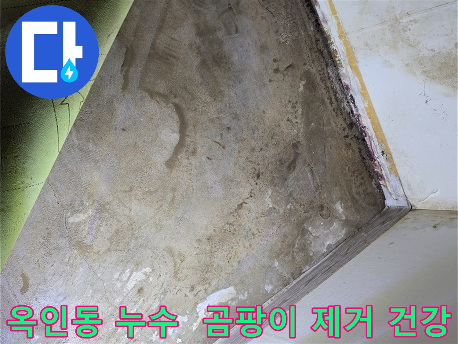 장판 밑 곰팡이 - 옥인동 곰팡이 제거로 건강 되찾기