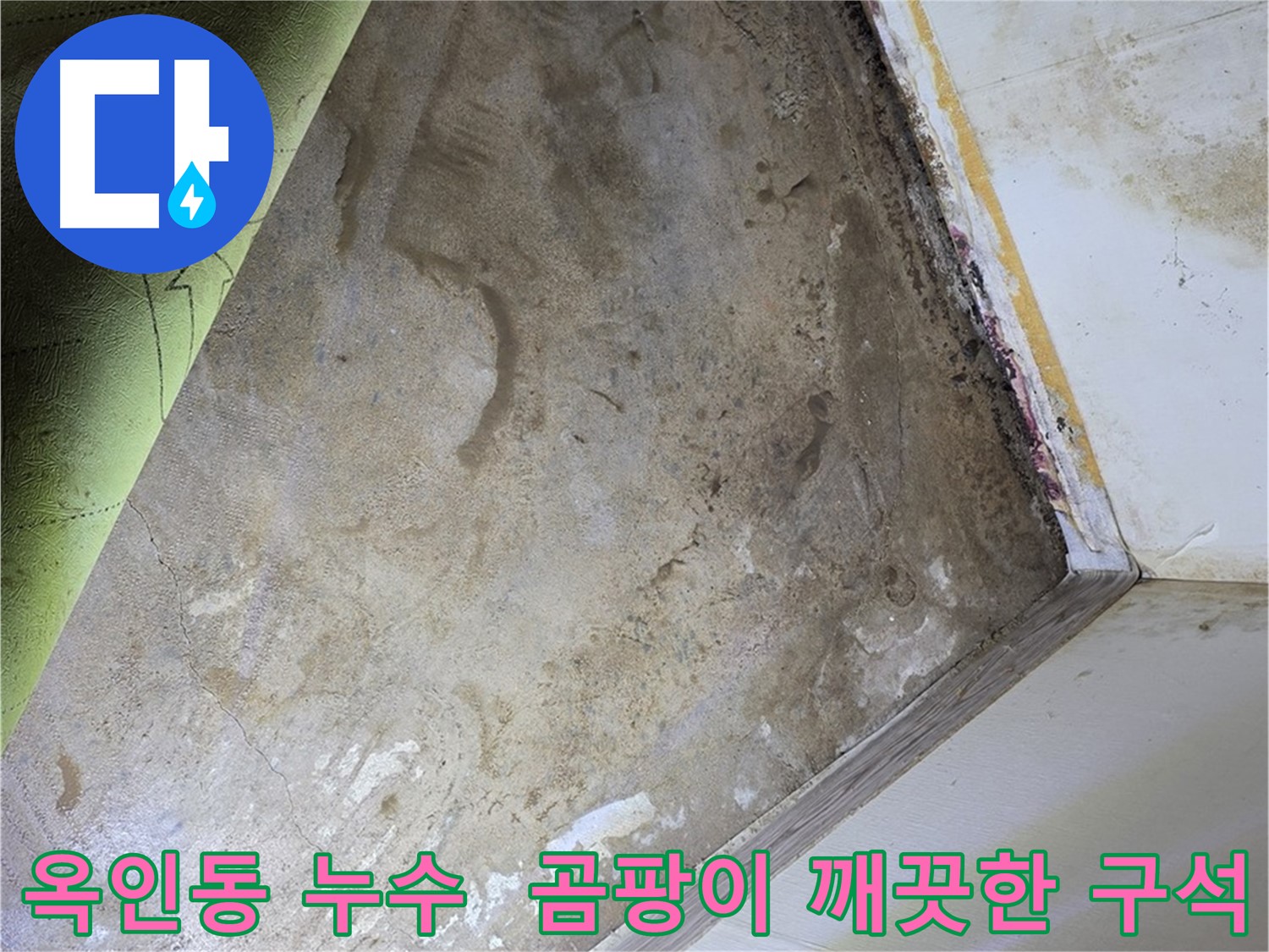장판 밑 곰팡이 - 옥인동 깨끗해진 구석