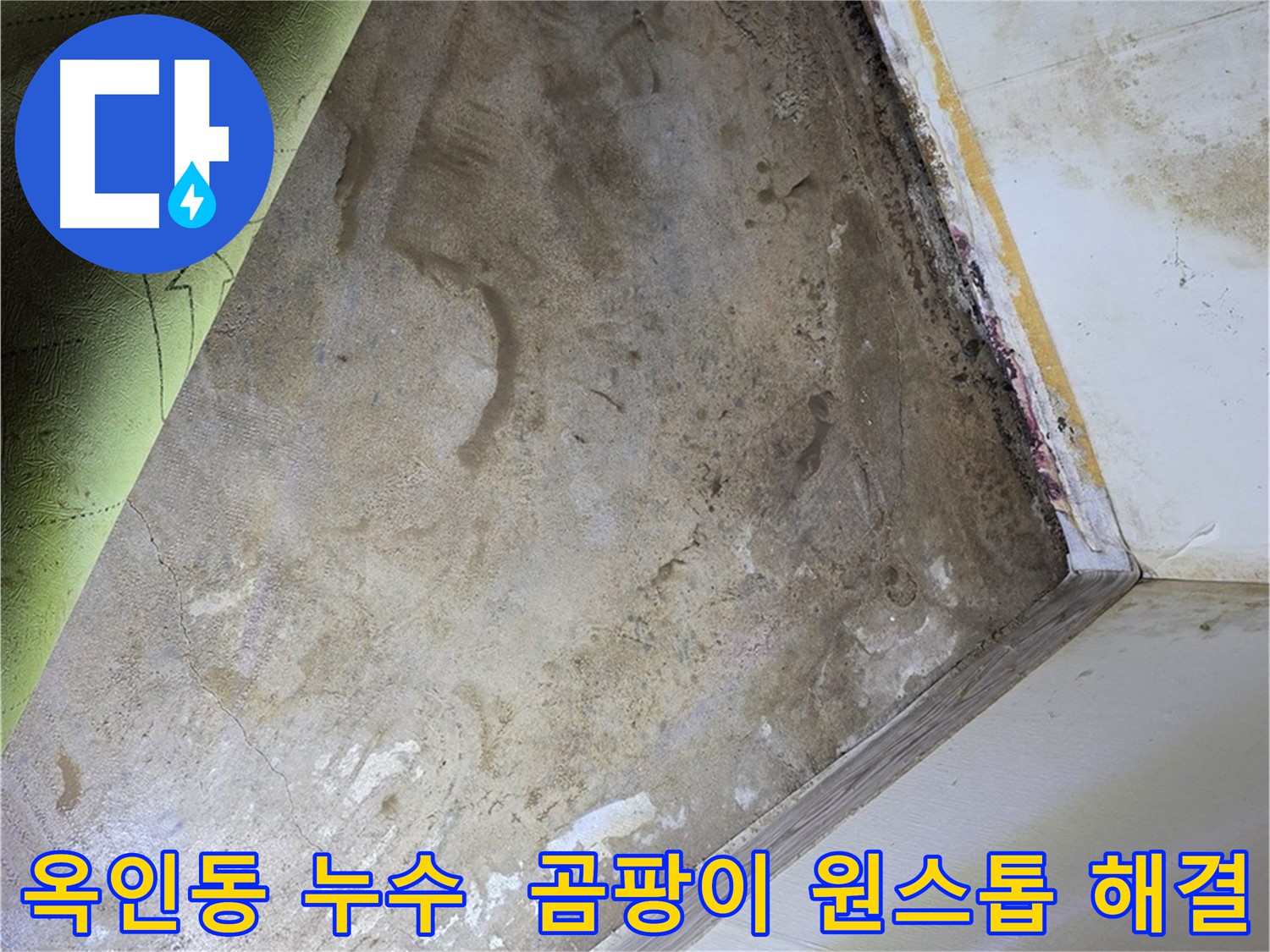 장판 밑 곰팡이 - 옥인동 누수 탐지부터 곰팡이 제거까지 한 번에