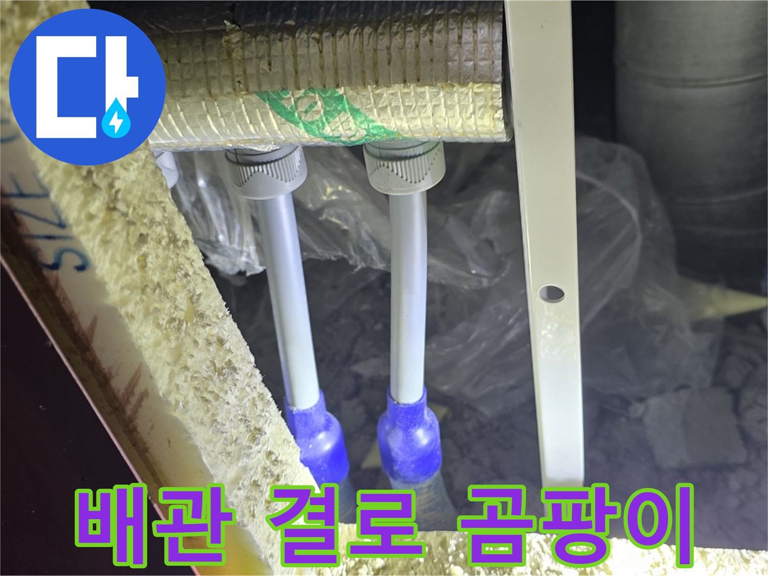 삼숭동 누수 방지 - 배관 주변 결로 발생 및 곰팡이 서식 환경 사전 점검