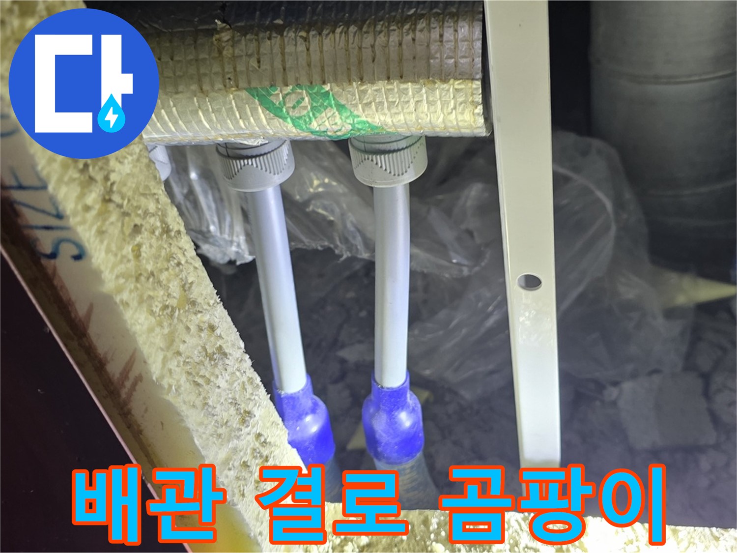 삼숭동 누수 예방 - 배관 주변 결로 발생 및 곰팡이 서식 가능성 사전 점검 꼼꼼 진행