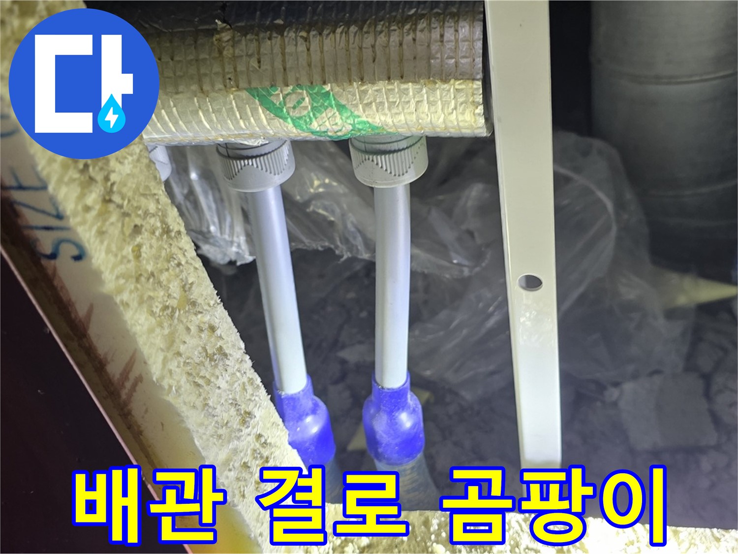 삼숭동 누수 예방 - 배관 주변 결로 발생 및 곰팡이 서식 환경 사전 점검 꼼꼼 진행