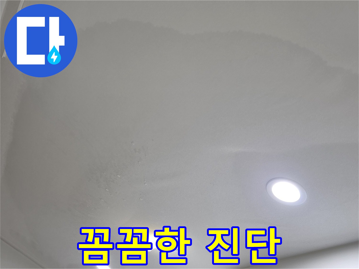 삼숭동 누수 탐지 - 곰팡이 핀 천장, 꼼꼼한 진단