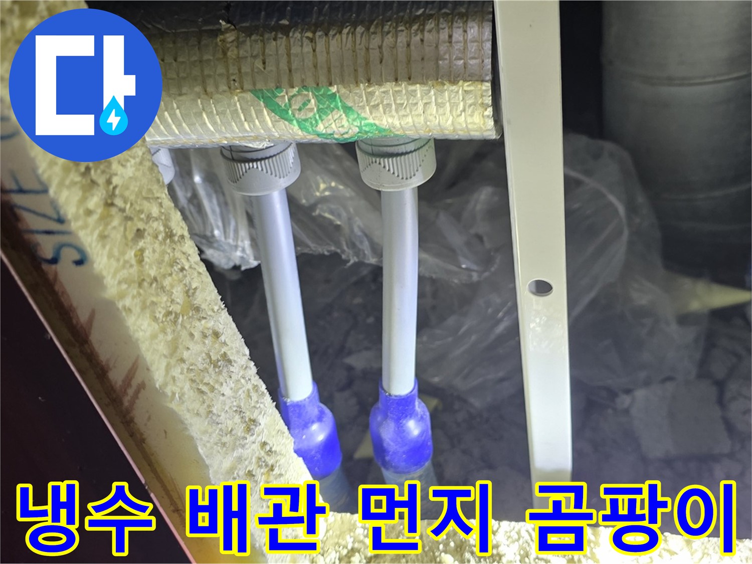 삼숭동 양주자이 누수 - 냉수 배관 연결 부위 주변 먼지 뭉침 및 곰팡이 초기 발생 여부 집중 검사