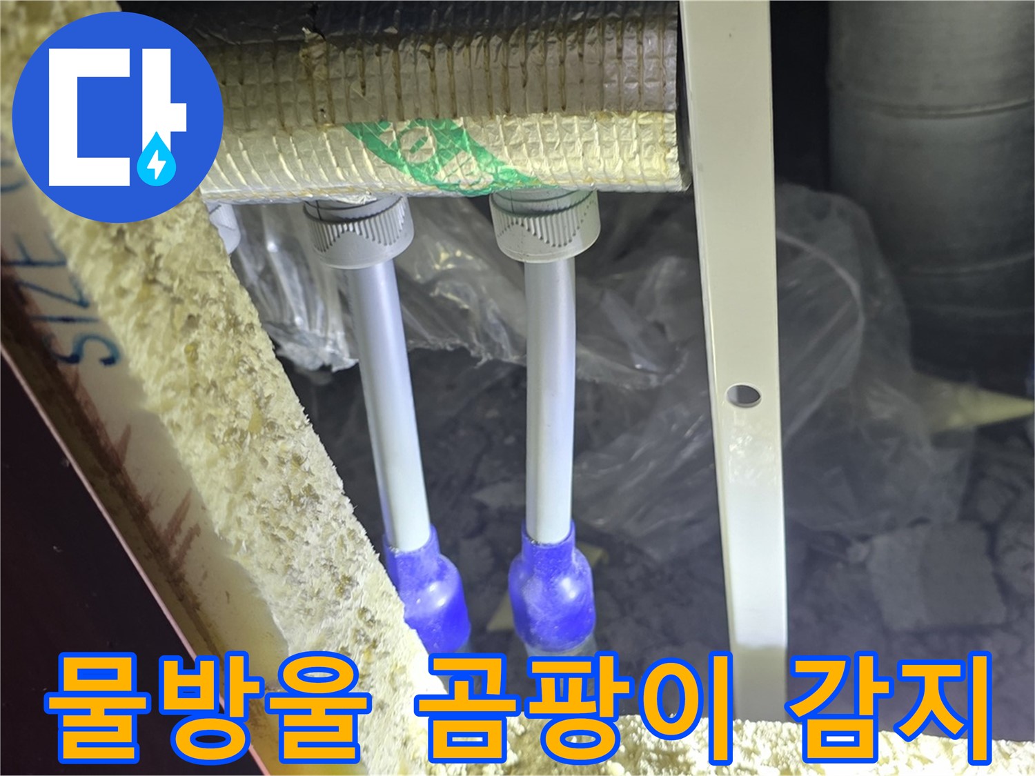 삼숭동 양주자이 누수 - 배관 연결 부속 주변 물방울 맺힘 및 곰팡이 냄새 감지