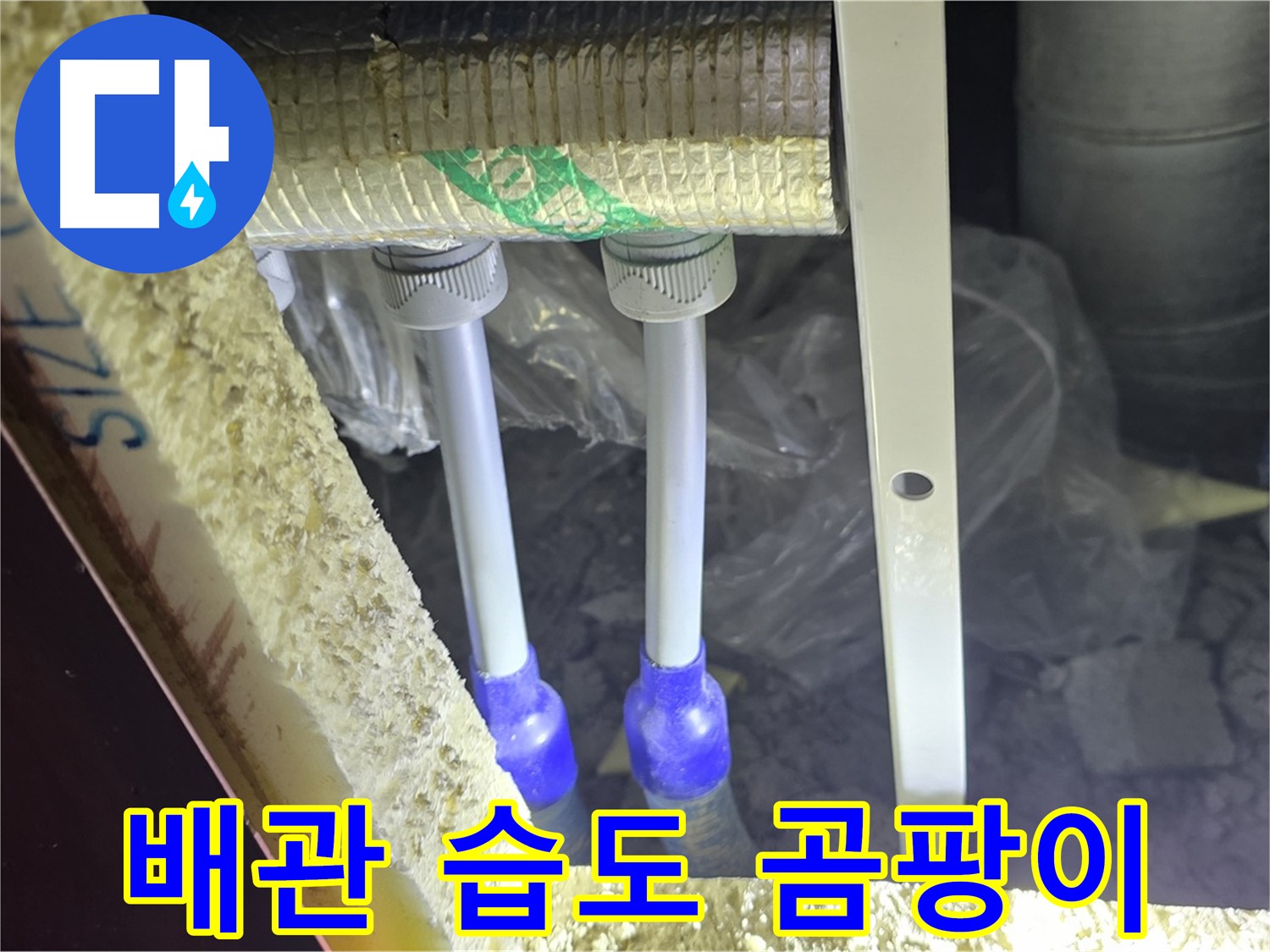 삼숭동 양주자이 아파트 누수 - 배관 연결 부속 주변 습도 변화 및 곰팡이 발생 초기 단계 확인