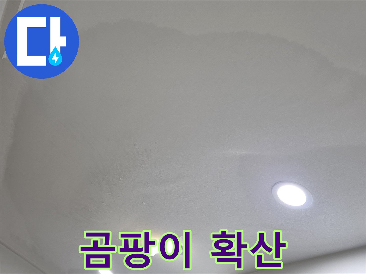 삼숭동 자이 107동 누수 - 곰팡이 확산 - 알레르기 유발