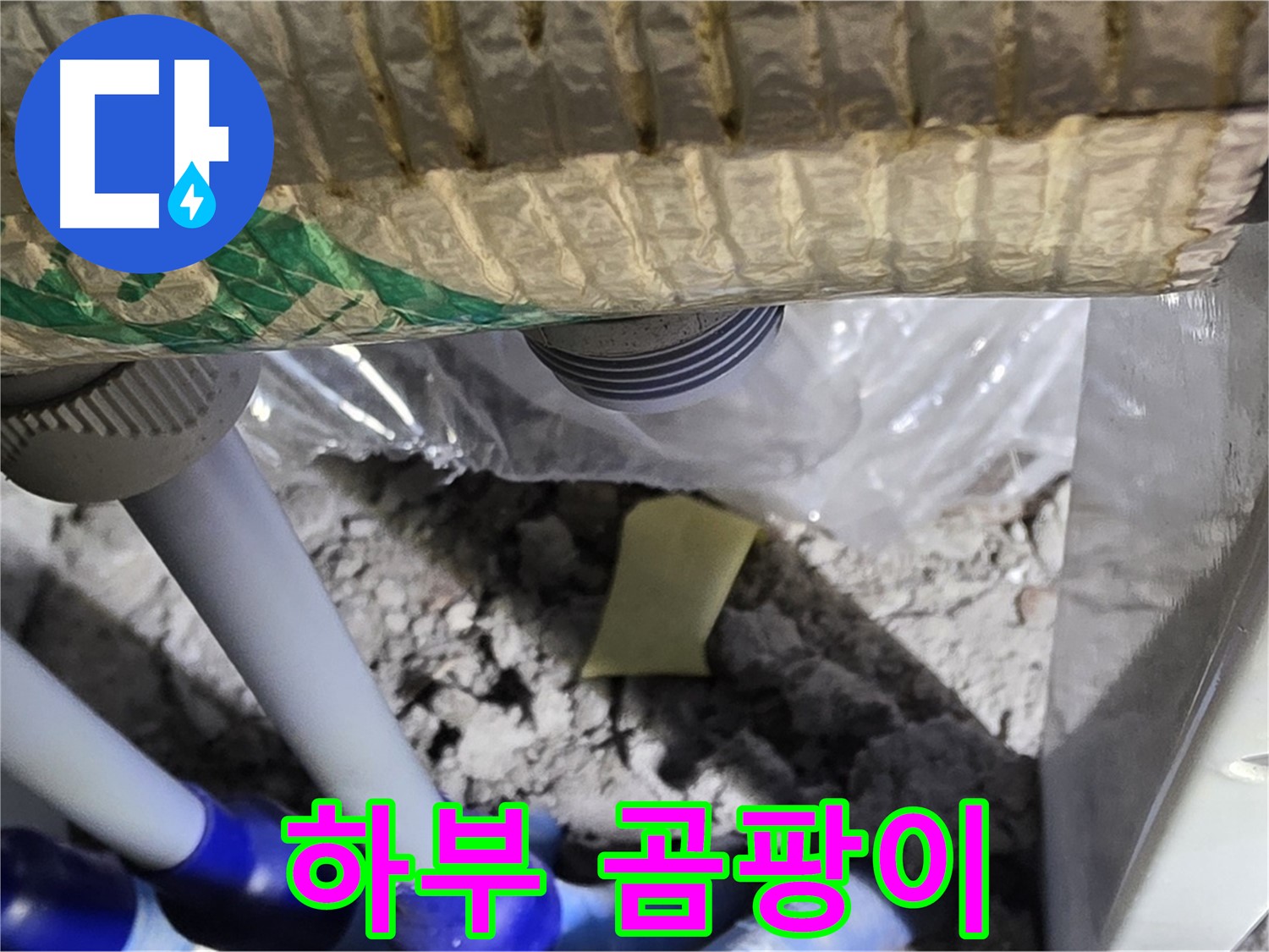싱크대 하부 - 곰팡이 발생 주의