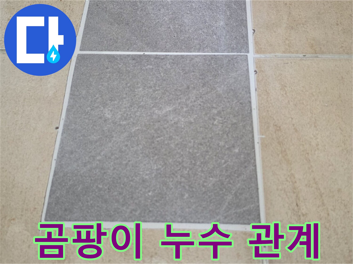 양주 삼숭동 아파트 - 교체된 타일 주변에 곰팡이가 발생하여 누수와의 관계를 분석하고 있습니다.