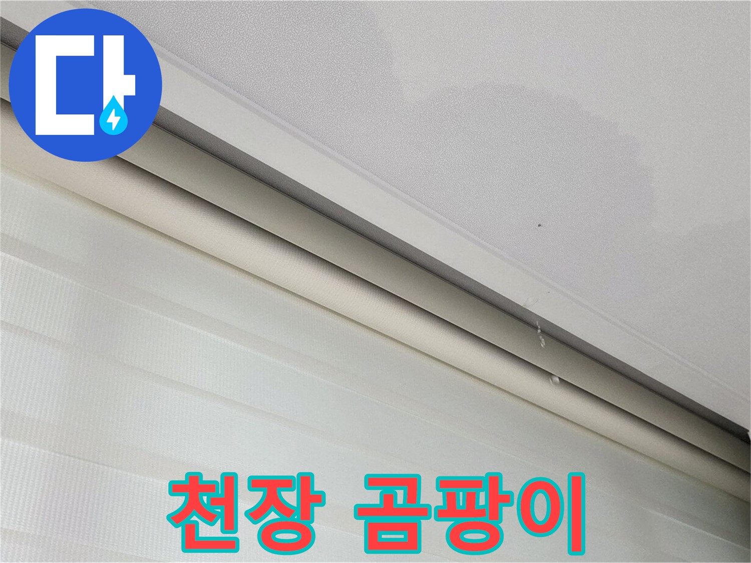 양주 삼숭동 아파트 천장 곰팡이 - 누수와 곰팡이의 상관관계