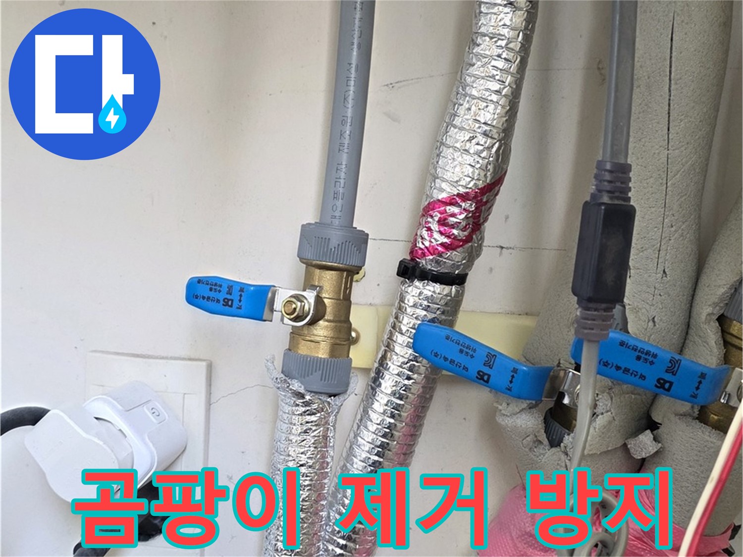 양주 삼숭동 자이아파트 - 곰팡이 제거 및 방지 - 쾌적한 환경을 위한 필수 작업