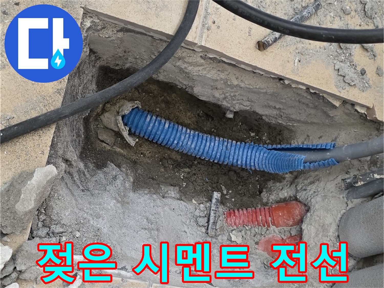 양주 삼숭동 자이아파트 누수 - 젖은 시멘트 바닥과 꼬불거리는 전선관