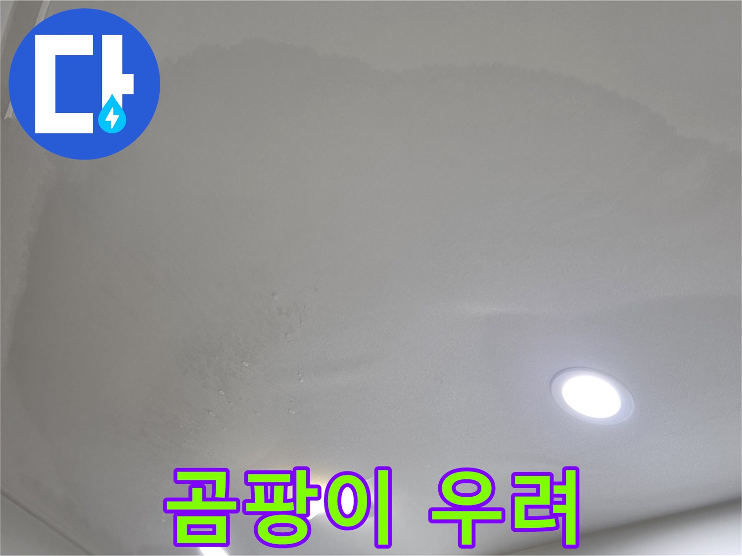 양주 아파트 누수 - 넓은 면적 오염, 곰팡이