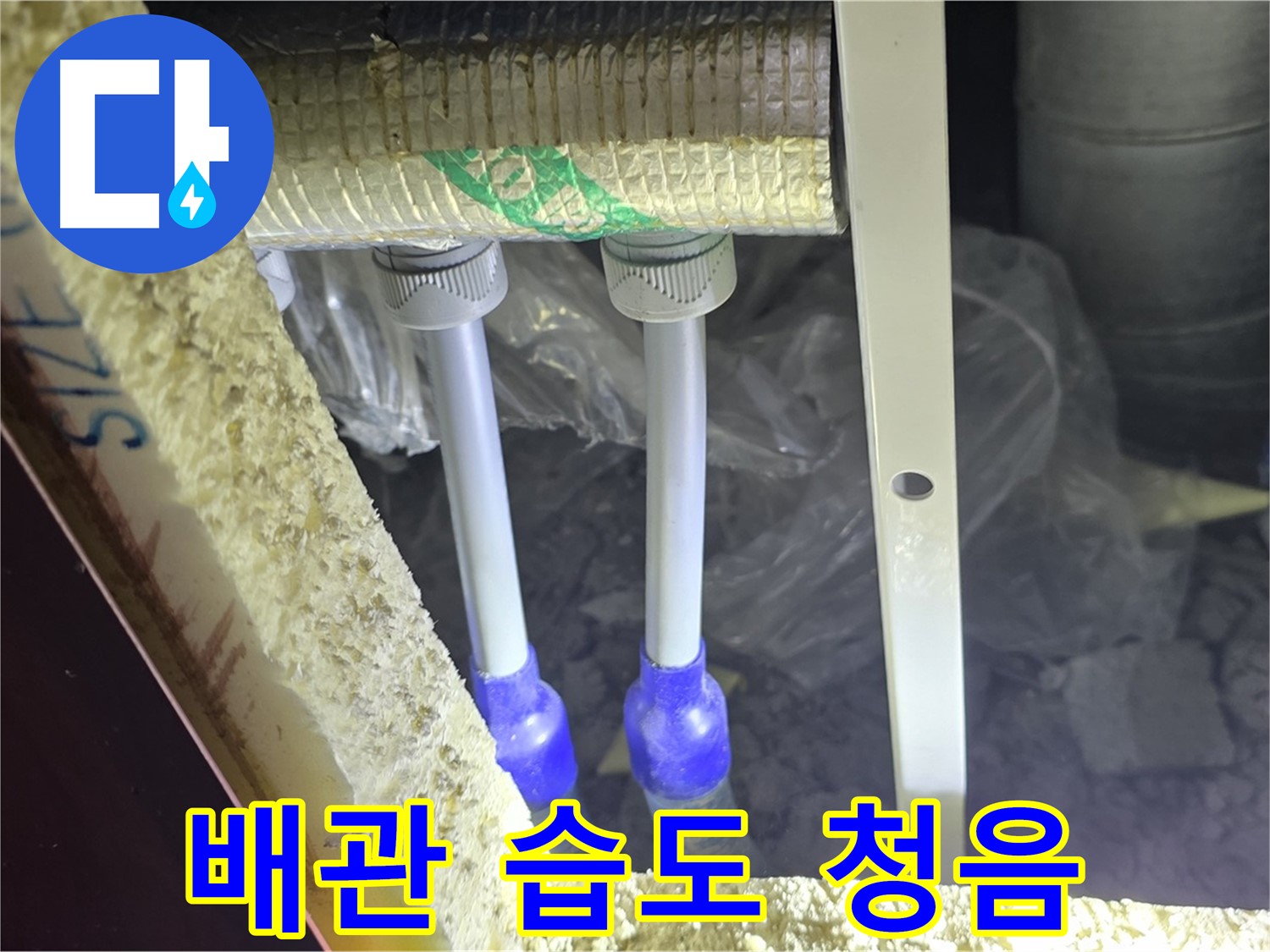 양주 자이 아파트 누수 - 배관 연결 부위 주변 습도 변화 및 미세 누수음 청취