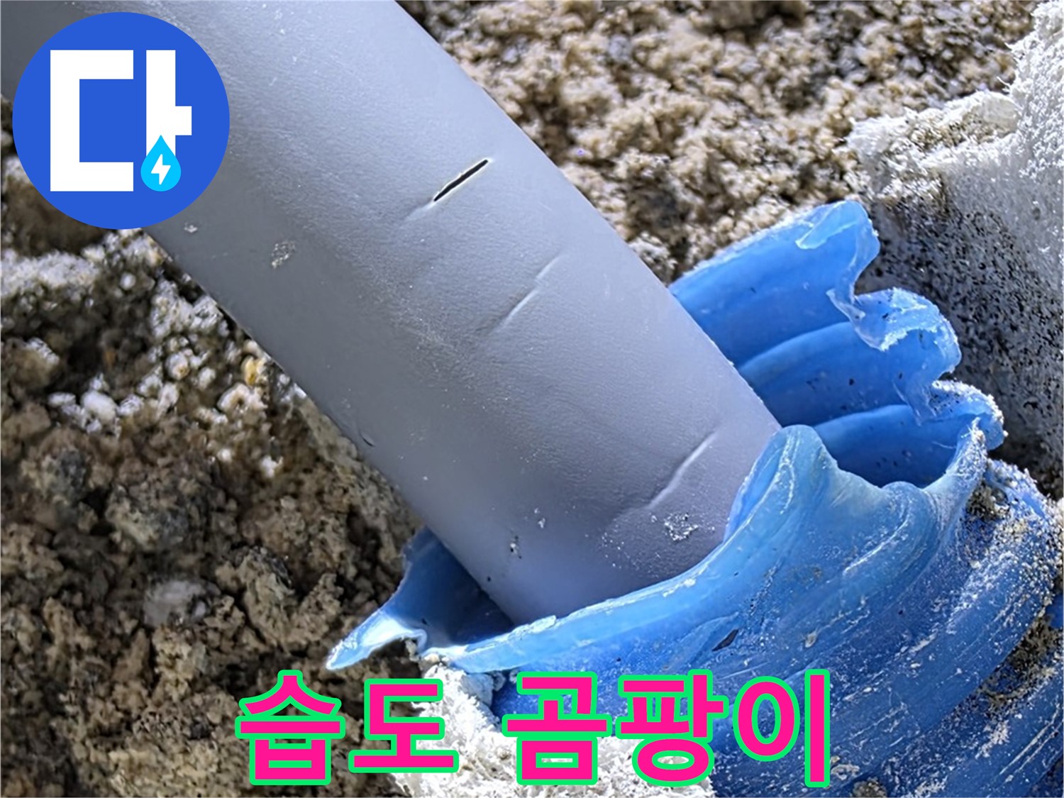 양주 자이아파트 누수 - 배관 주변 습도 및 곰팡이 상태를 확인하여 누수 여부를 판단하고 있습니다 - 정밀 탐지.