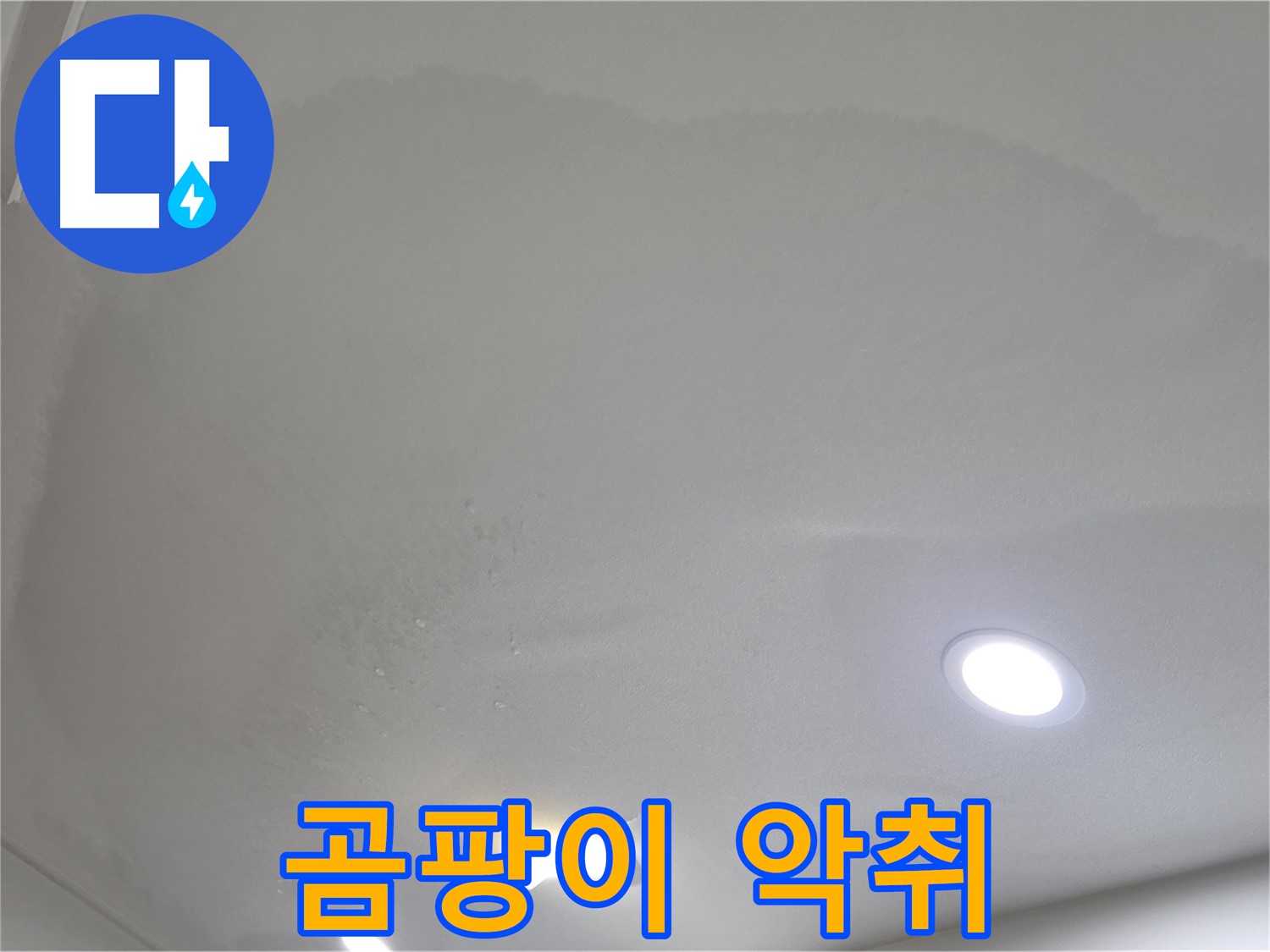 양주시 삼숭동 누수 - 젖은 처진 천장 - 곰팡이 악취