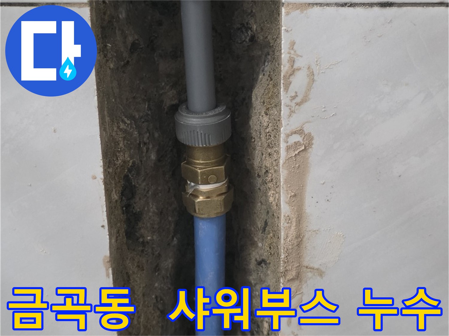 분당 금곡동 샤워부스 누수 - 메타폴 배관 교체 시공