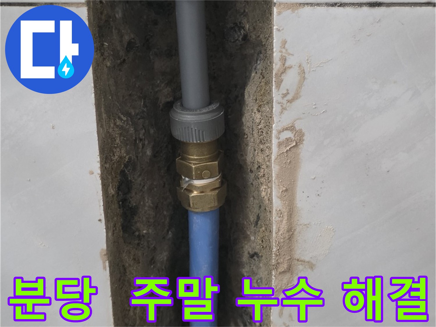 분당 쇳골 - 주말에도 누수 문제 해결 가능