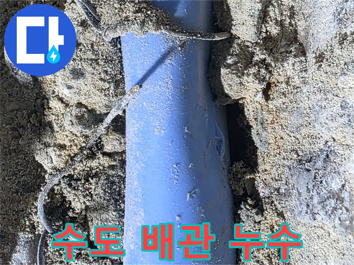 분당 쇳골로 - 수도 배관에서 발생한 누수 - 빠른 탐지와 수리가 중요합니다.