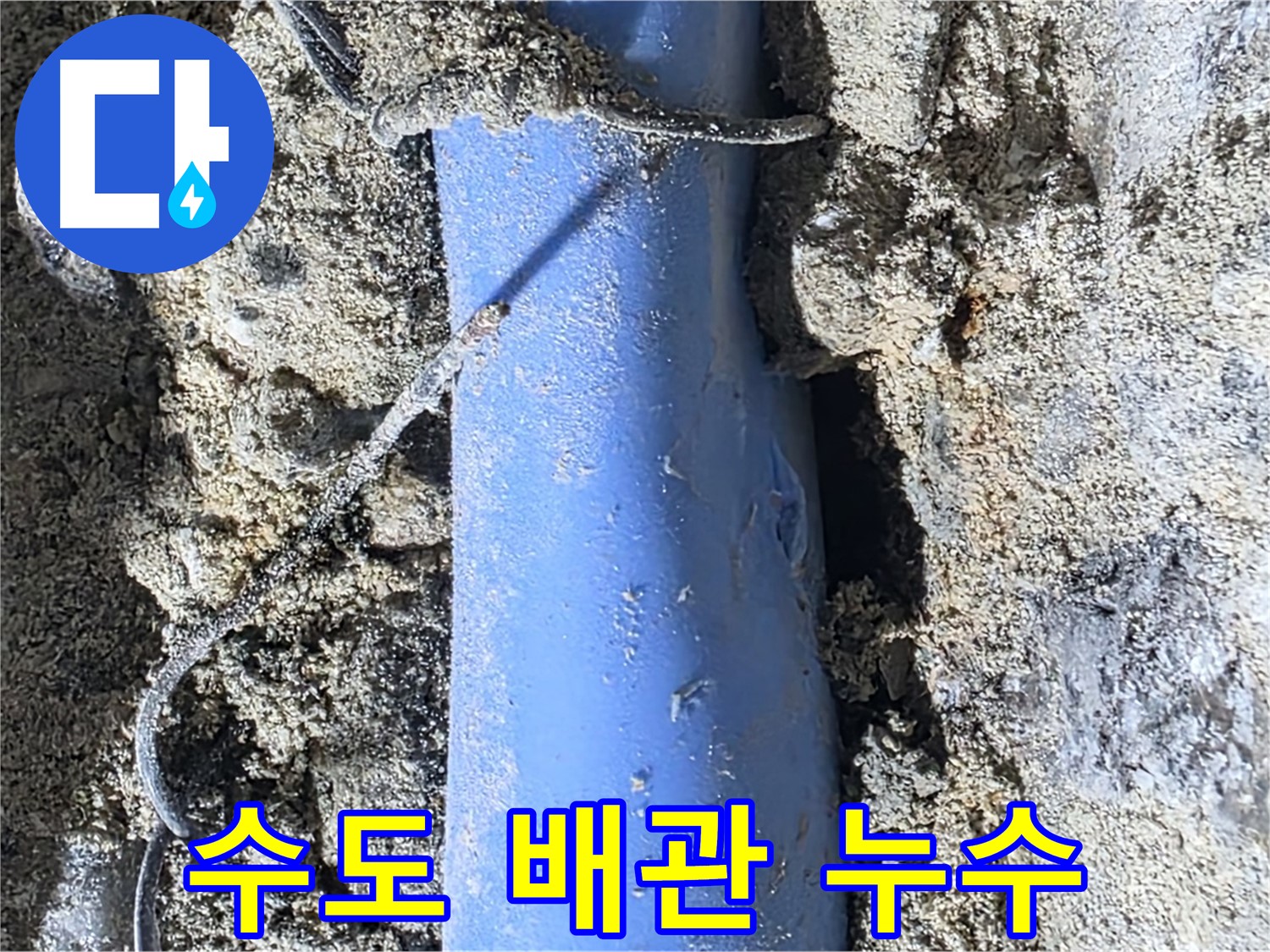 분당 쇳골로 - 수도 배관에서 발생한 누수 - 빠른 탐지와 수리가 중요합니다.