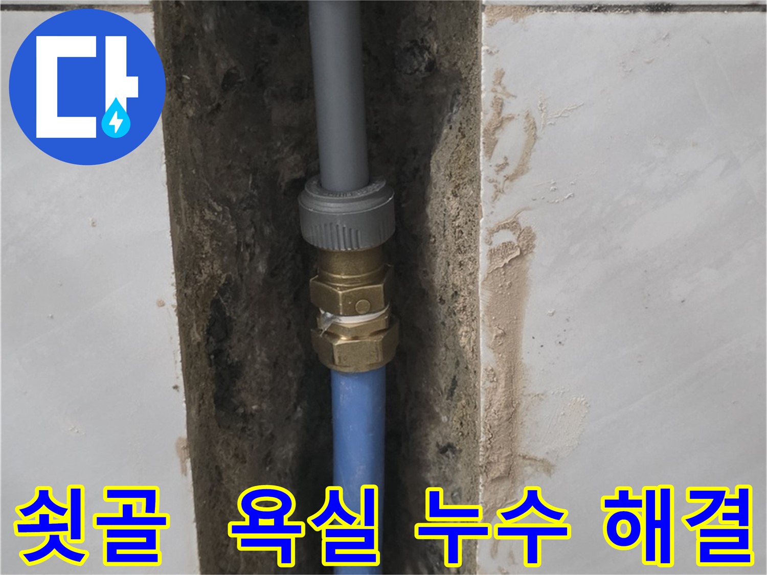 성남 분당 쇳골 - 욕실 누수, 이제 안심하고 사용하세요!