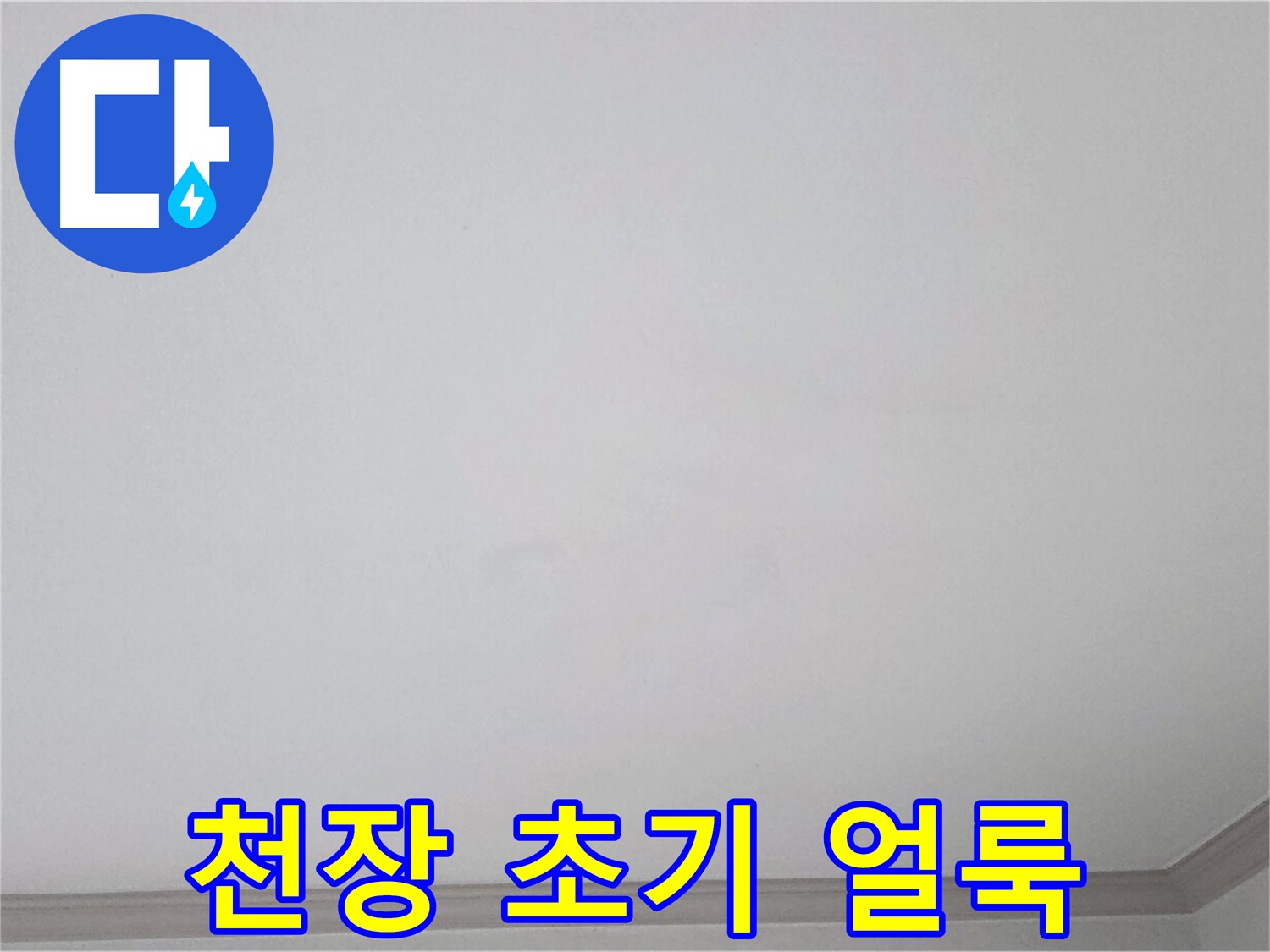 인천 남동구 논현동 논현주공1단지 아파트 천장 - 초기 누수 얼룩 정밀 진단