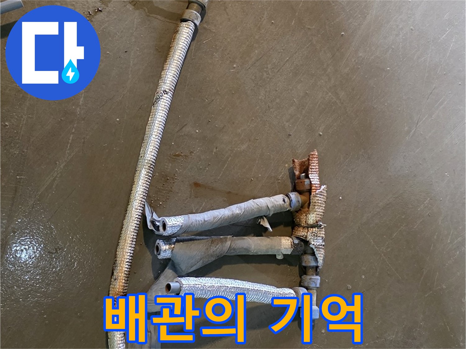 원삼면 누수 현장에서 낡은 배관의 마지막 기억 - 과거의 누수 문제를 떠올리게 합니다.